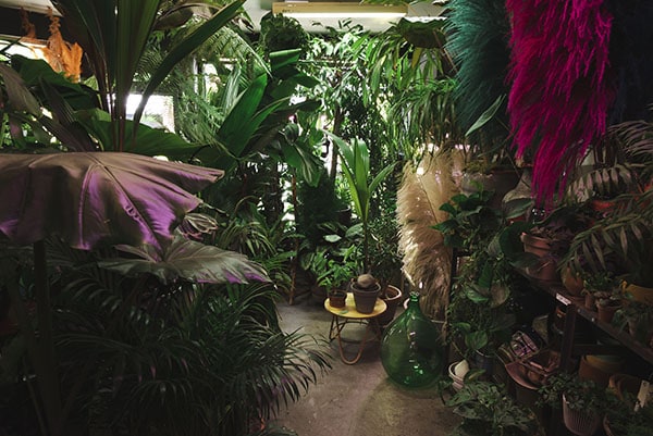 ob1-comm-brut-fleuriste-1-05-600px