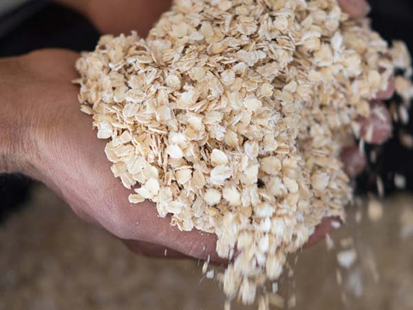 ob1-comm-lily-s-granola-600