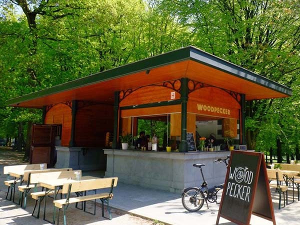 ob1-terr-woodpecker-la-cambre-600