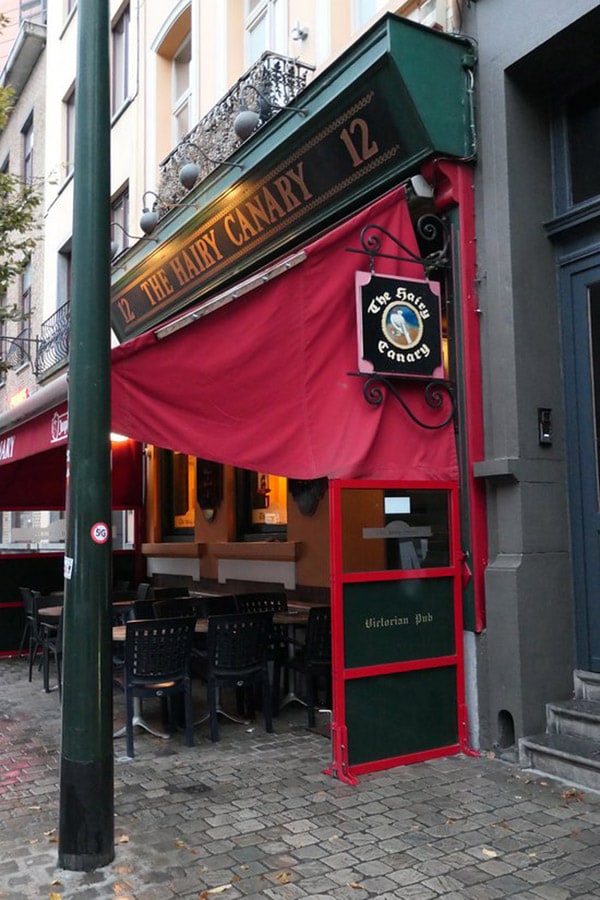 the-hairy-canary-ob4-600