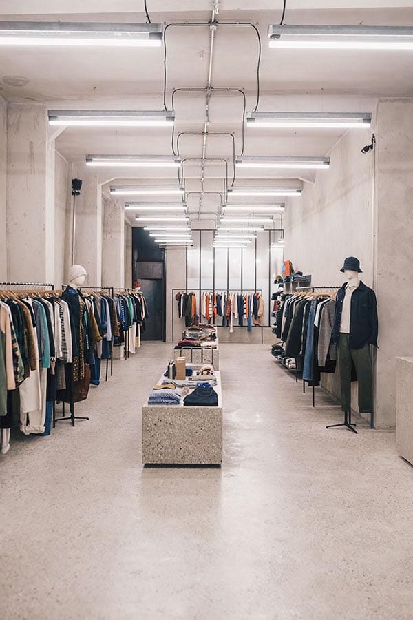 bellerose-chartreux-600